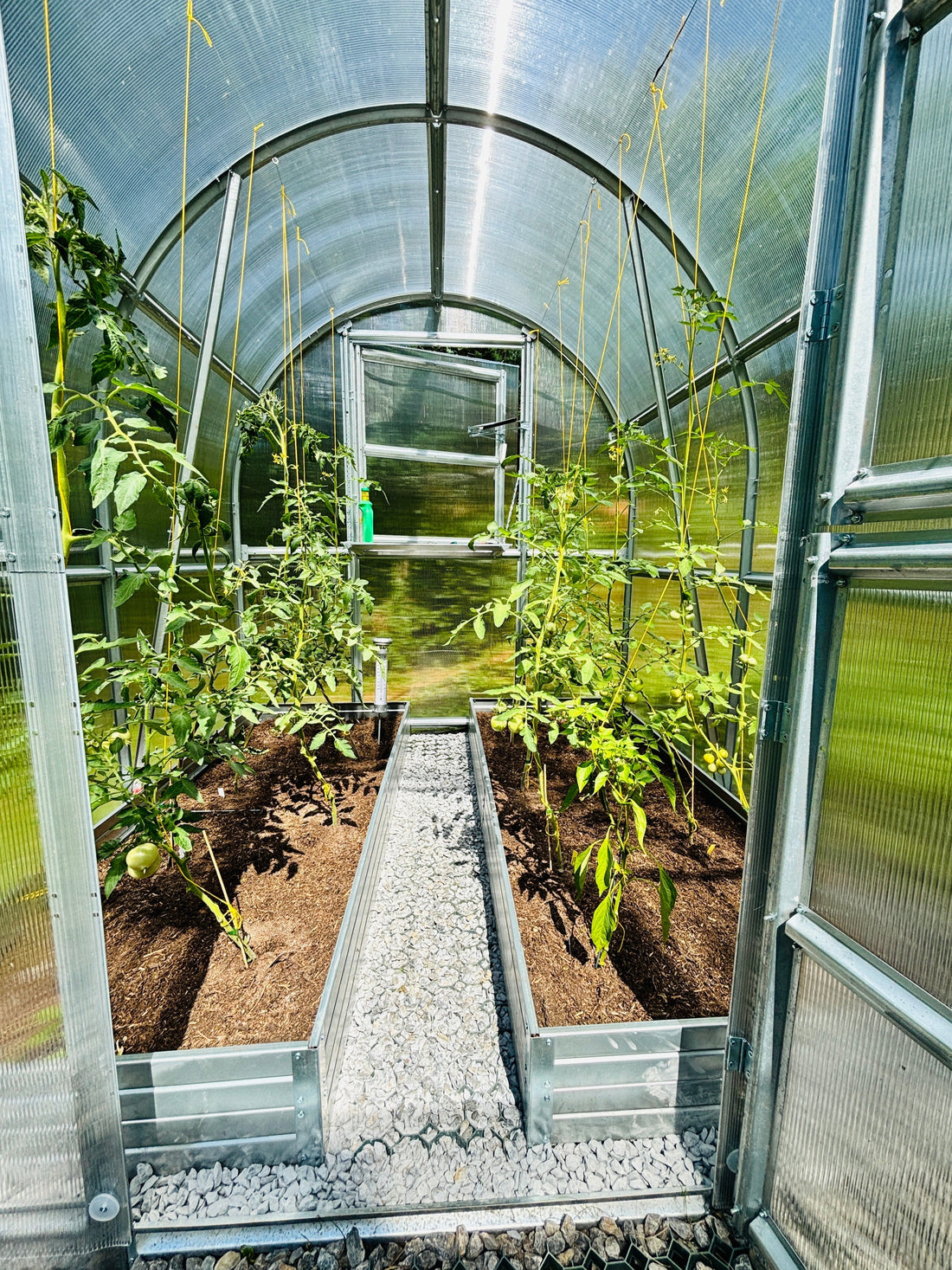 Polycarbonat Gewächshaus Vorteile - 4 mm vs. 6 mm Vergleich & Kaufberatung 2026