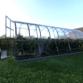 Gewächshaus ARK 6 Meter Länge