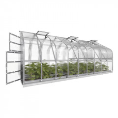 Top Gewächshaus Standard, 6 m Tiefe, 6 mm Polycarbonat, 3 automatisches Dachfenster