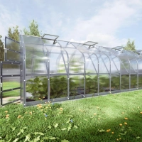 Gewächshaus aus Polycarbonat mit Fundament und automatischer Belüftung, 10 Meter tiefe.