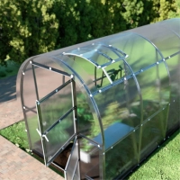 Gewächshaus aus Polycarbonat mit Fundament - Dachfenster