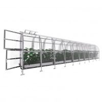 Gewächshaus aus Polycarbonat - Klassiker Slim 20 m²