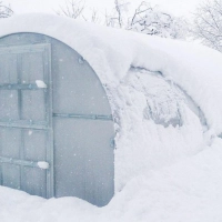 Winterfestes Rundbogen Gewächshaus - hohe Schneelast kein Problem